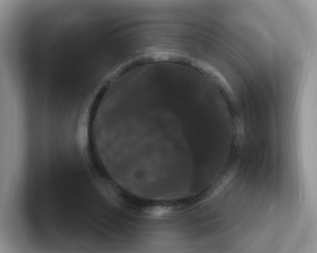 X0000102310496200808081610