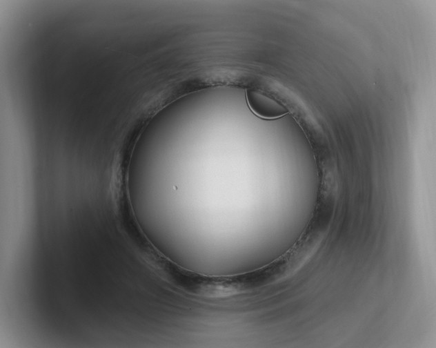 X0000102310498200808081610