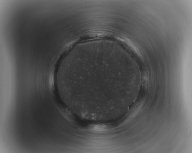 X0000102310500200808081610