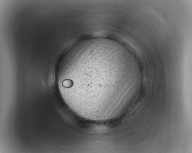 X0000102310502200808081610