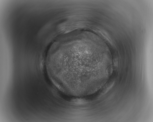 X0000102310503200808081610