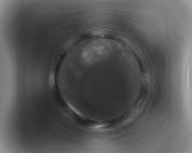 X0000102310504200808081610