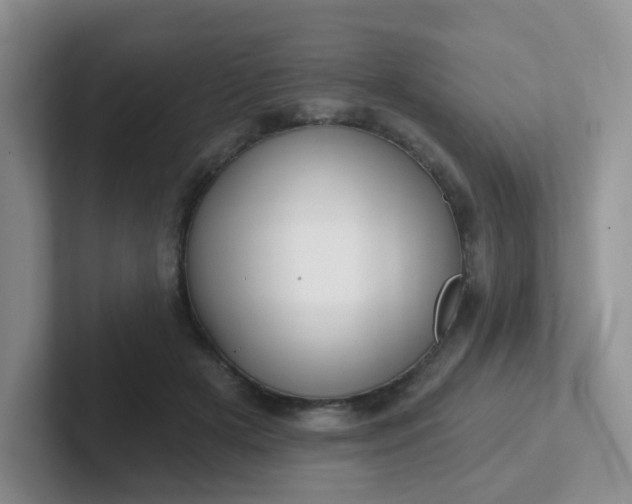 X0000102310505200808081610