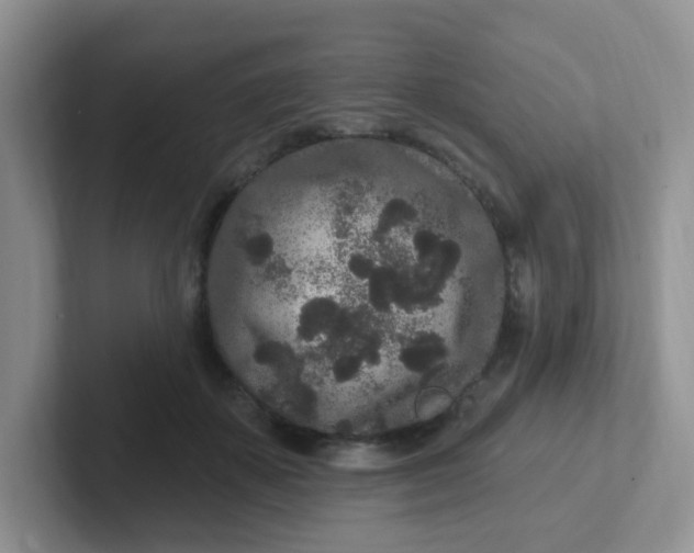 X0000102310507200808081610