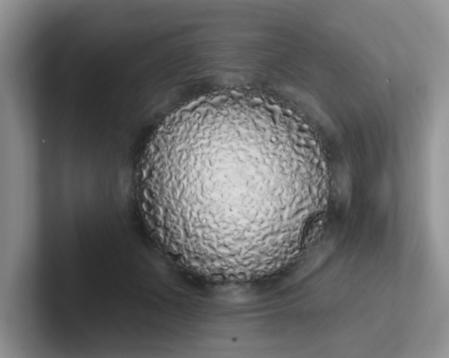 X0000102310511200808081610