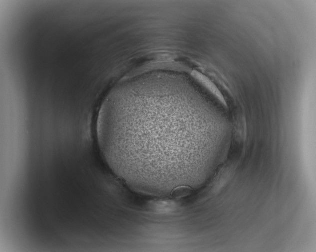 X0000102310512200808081610