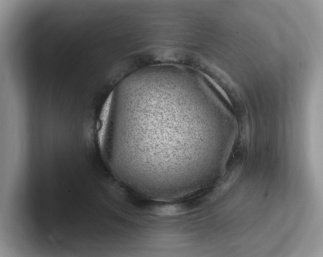 X0000102310513200808081610