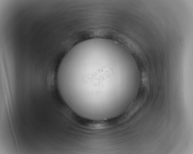 X0000102310514200808081610