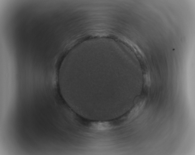 X0000102310517200808081609