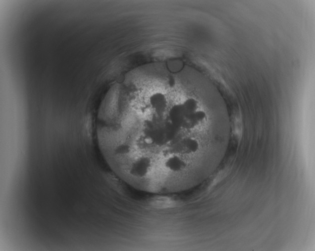 X0000102310519200808081609