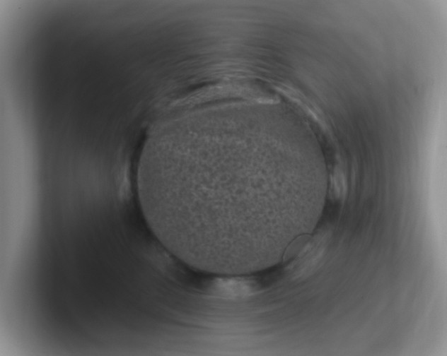 X0000102310520200808081609