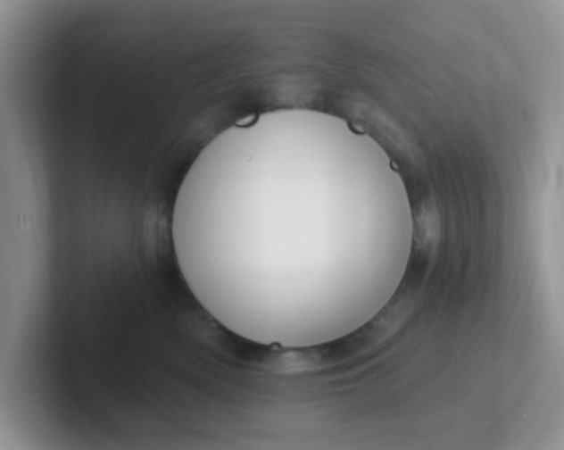 X0000102310522200808081609