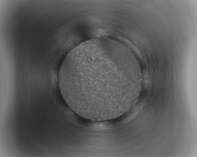 X0000102310523200808081609