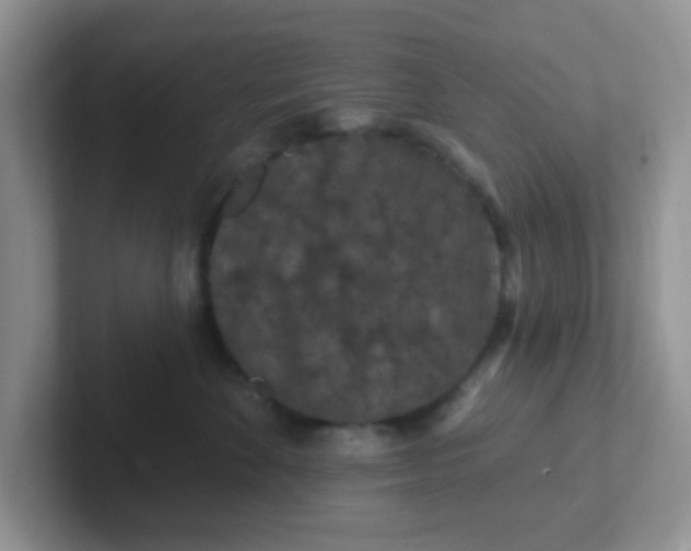 X0000102310524200808081609