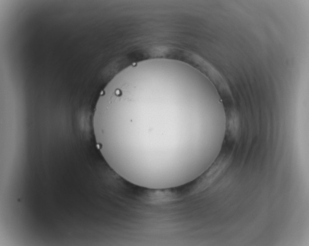 X0000102310525200808081609