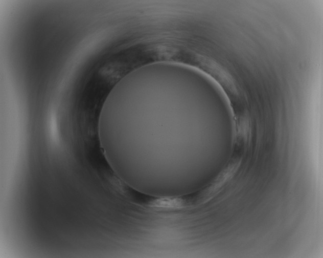 X0000102310526200808081609