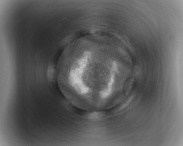 X0000102310527200808081609