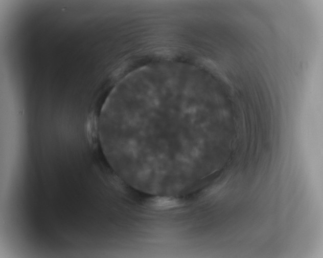 X0000102310528200808081609