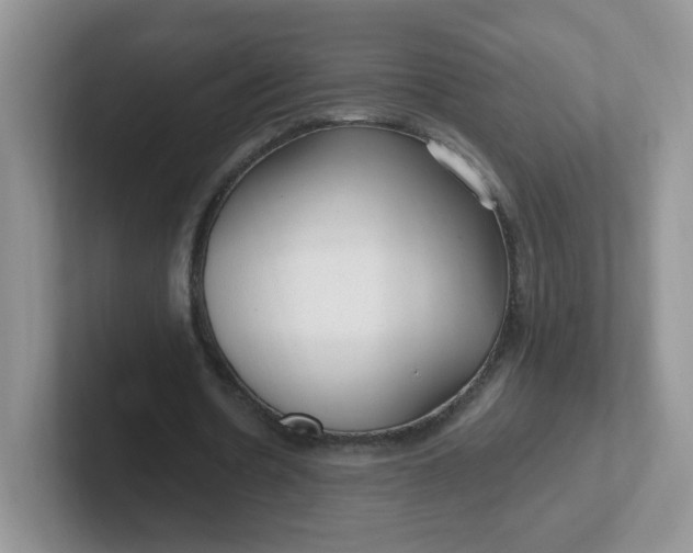 X0000102310530200808081609