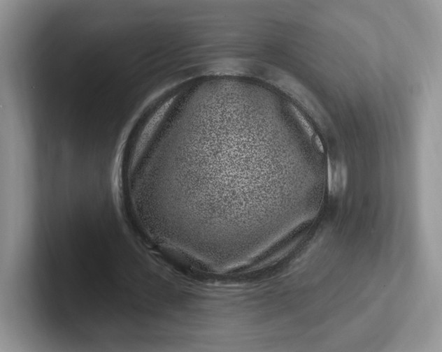 X0000102310531200808081609