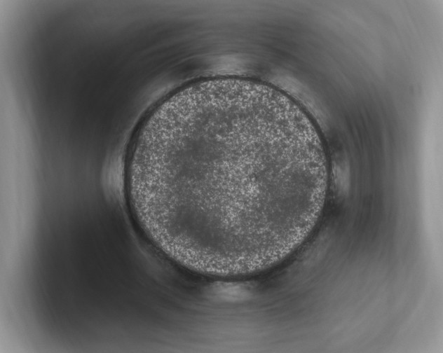 X0000102310534200808081609