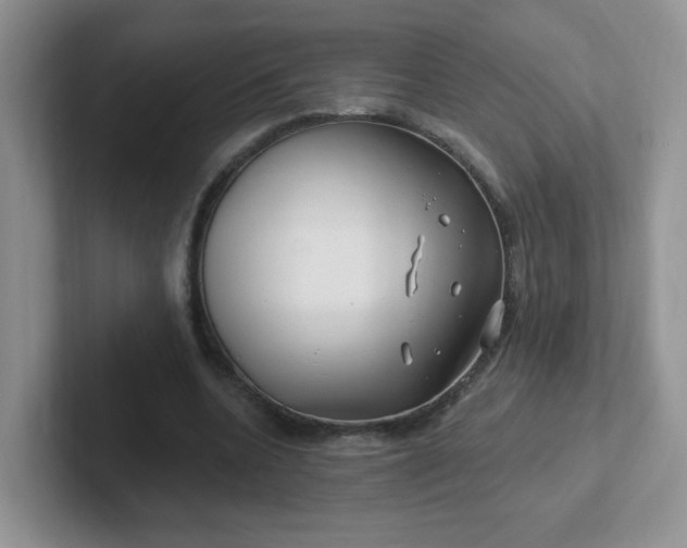 X0000102310536200808081609