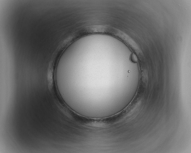 X0000102310537200808081609