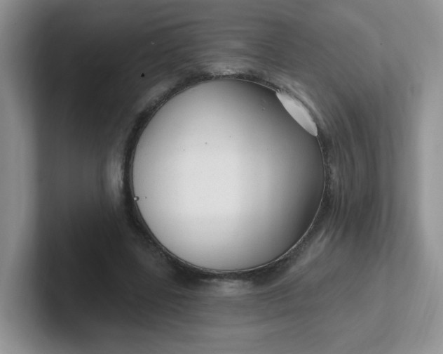 X0000102310539200808081609