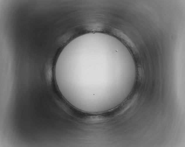 X0000102310541200808081609