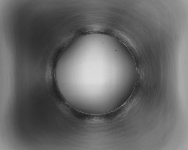 X0000102310546200808081609