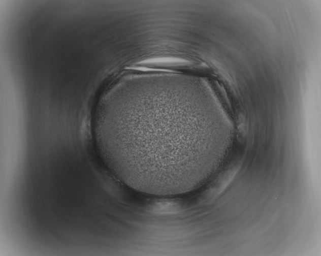 X0000102310547200808081609