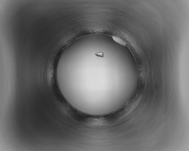 X0000102310548200808081609