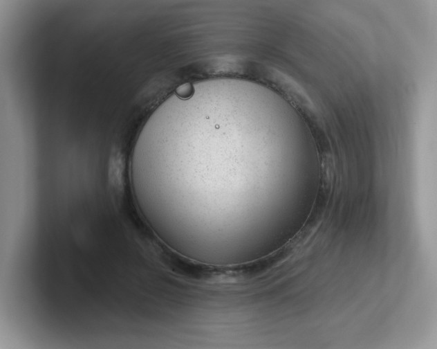 X0000102310550200808081609