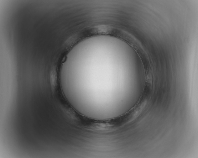 X0000102310552200808081609