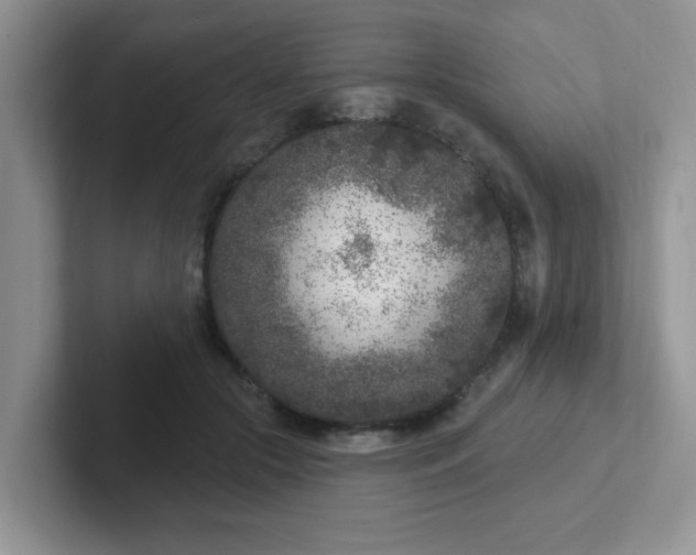 X0000102310553200808081609