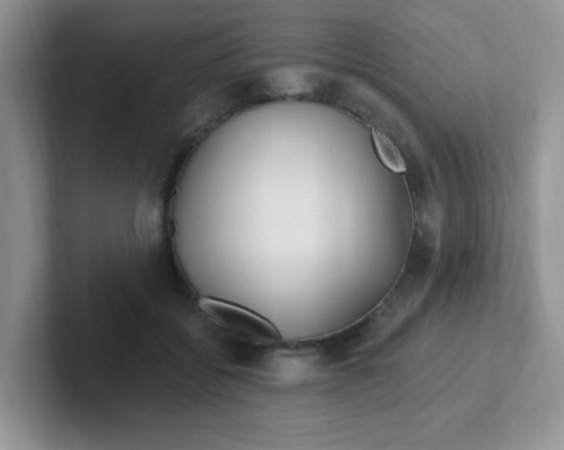 X0000102310556200808081609