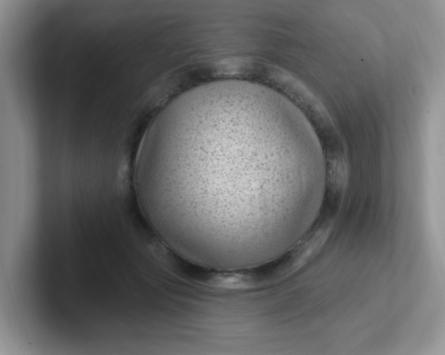 X0000102310557200808081609