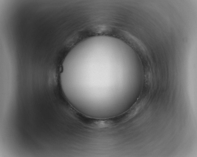 X0000102310558200808081609