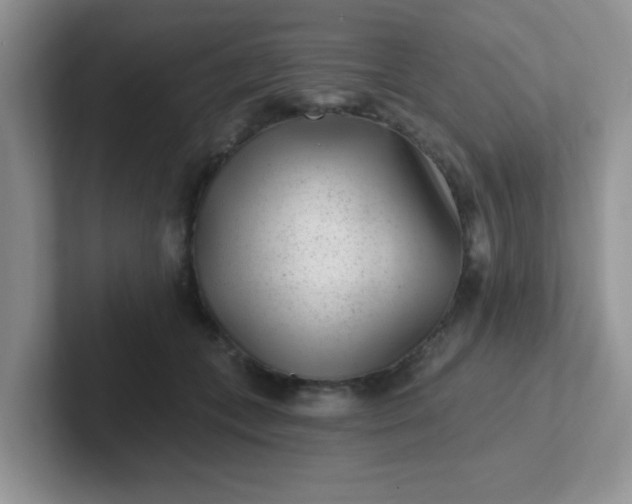 X0000102310559200808081609