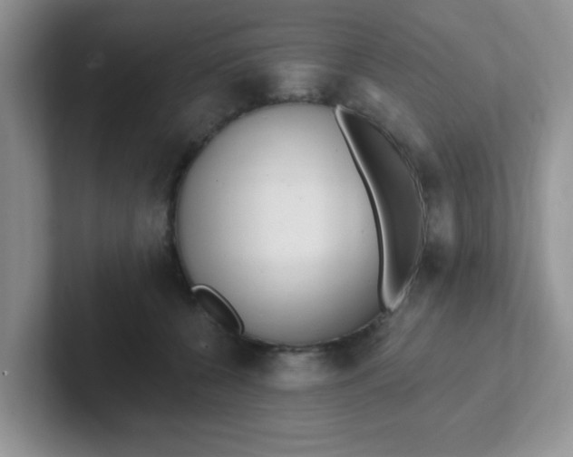 X0000102310560200808081609