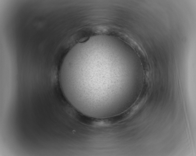 X0000102310561200808081609