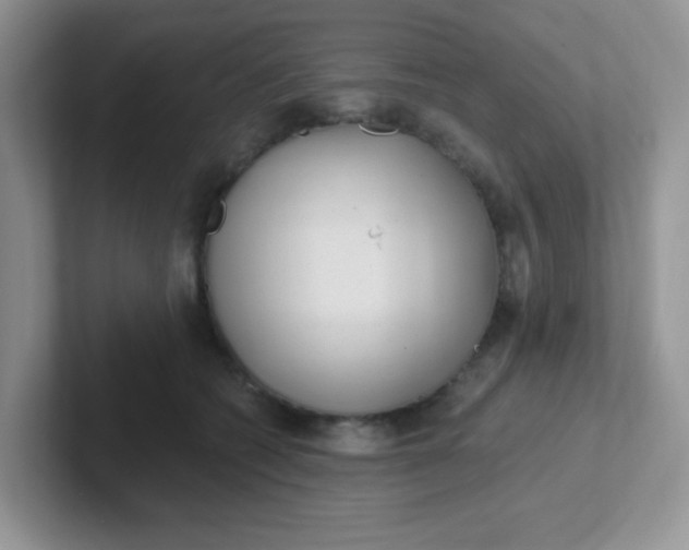 X0000102310562200808081609