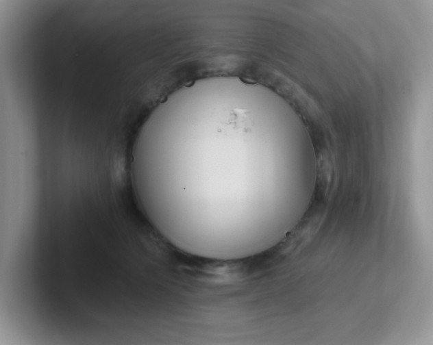 X0000102310564200808081609