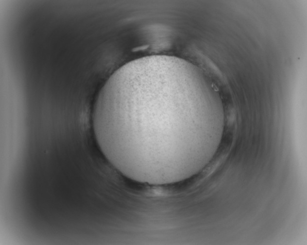 X0000102310565200808081609