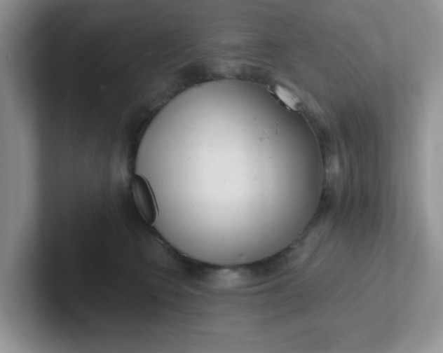 X0000102310566200808081609