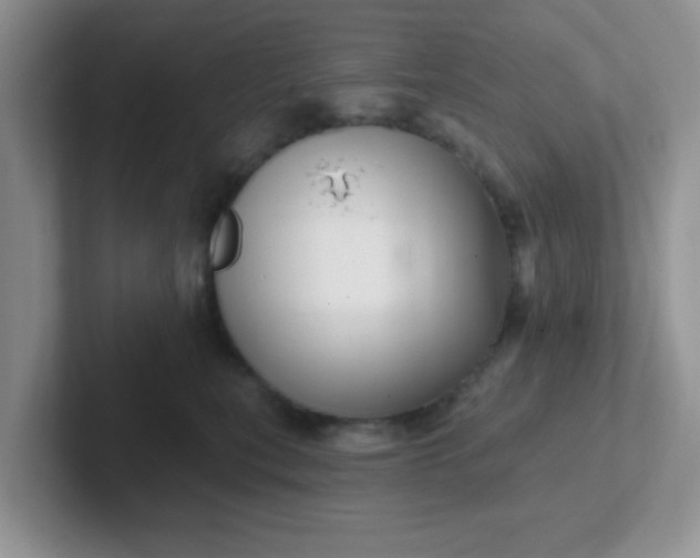 X0000102310567200808081609