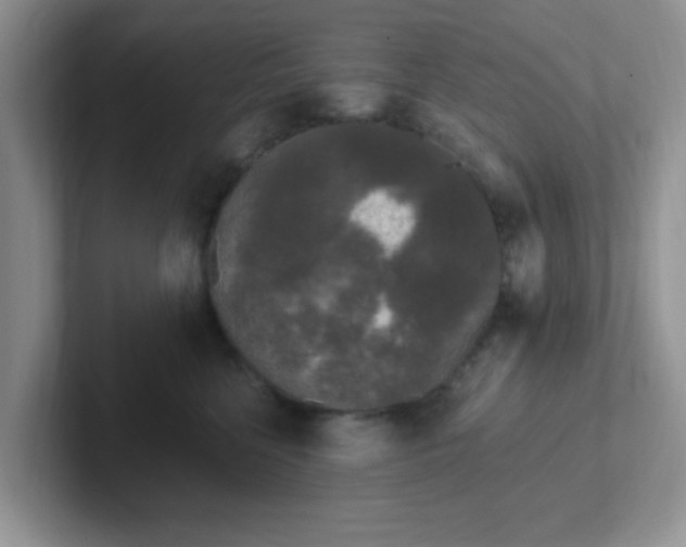 X0000102310568200808081609