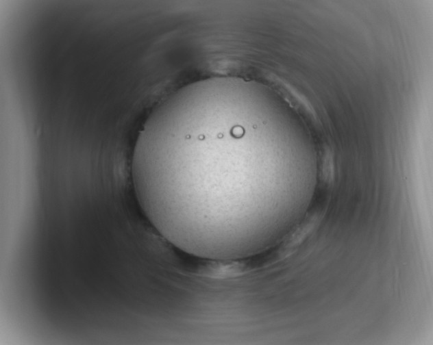 X0000102310569200808081609