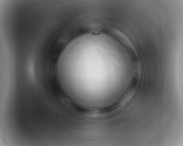 X0000102310573200808081609