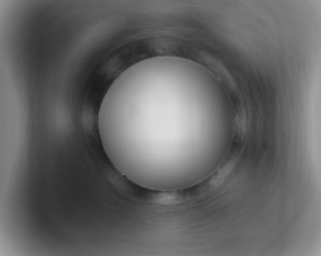 X0000102310574200808081609